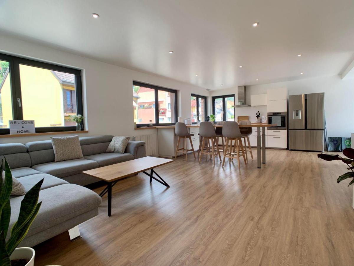 Chez Arnaud Et Thomas Apartman Dingsheim Kültér fotó